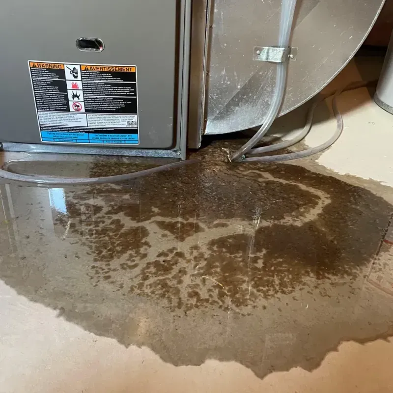 Appliance Leak Cleanup in Cynthiana, KY